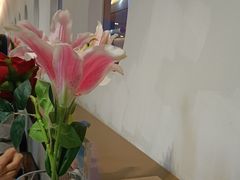 -法兰度航空主题餐厅(河源店)