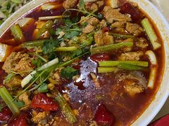 -东吴霸王兔(松青路店)