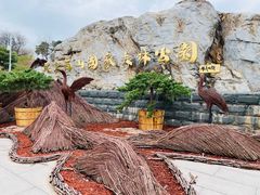 -北京西山国家森林公园