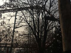 -朝阳公园游乐园