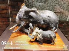 -大连自然博物馆