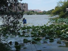 景点-菱湖风景区