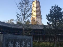 -舍利塔滩地公园-无垢净光舍利塔