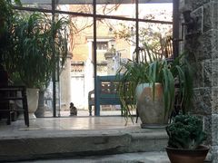 -杨桃院子旅馆(厦门鼓浪屿中华红墨店)