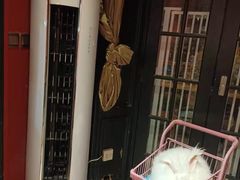 -猫色咖啡·猫咖