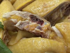-巫记鸡饭店