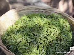 -西山风景区