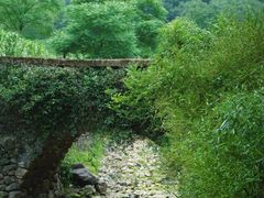 -东钱湖旅游度假区