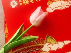 -北京稻香村(燕儿岛路店)