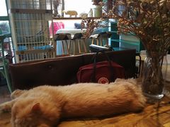-小时光咖啡馆(北锣鼓巷店)