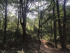 -灵岩山风景区