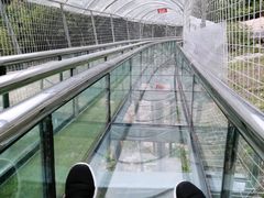-青岛森林野生动物世界