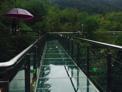 -陶祖圣境风景区