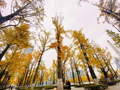 -百林公园-两江幸福广场