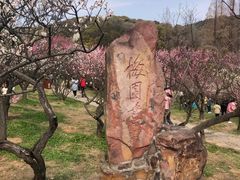 -无锡梅园公园
