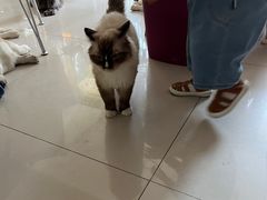 -平行世界·猫咖(首经贸店)