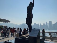 -星光大道