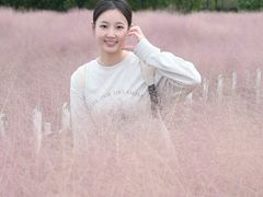 -嘉北郊野公园