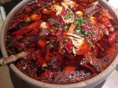 -青城甲(青城山店)