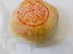 鲜肉月饼-真老大房鲜肉月饼(南京路步行街店)