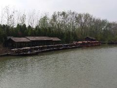 摇橹船-溱湖国家湿地公园