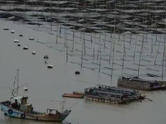 -北岐滩涂