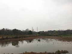 -东湖落雁景区