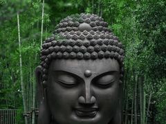 -杭州植物园