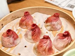 -苏小柳点心·手作小笼包(新世界新丸中心店)