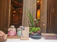 -叶叶菩提(太原别墅店)