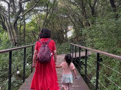 -济州森林小火车生态公园