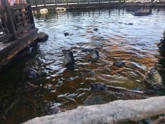 -华夏文旅海洋公园