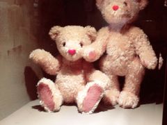 -济州岛泰迪熊博物馆