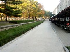 -山东农业大学(岱宗校区)