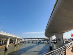 -演武大桥观景平台