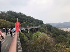 -金鸡山公园