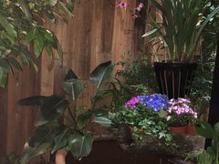 -陌上花开餐厅(云山路店)