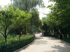 -西安市长乐公园