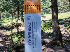 -芦芽山旅游度假区