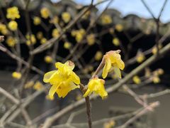 -宜兴龙背山森林公园
