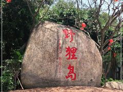 -野狸岛