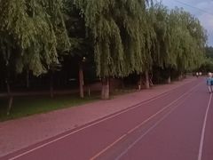 -黛秀湖公园
