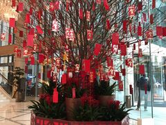 -上海雅居乐万豪侯爵酒店