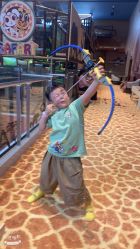 -卡通尼·Safari非洲探索乐园·生日会(金桥国际商业广场店)