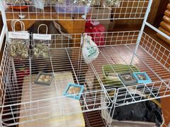 -蓝湾碧波·老字号·疍家非遗海上餐厅