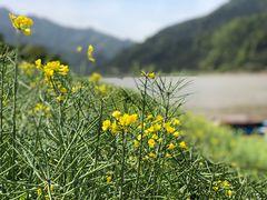 -新安江山水画廊风景区