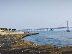 -星海广场