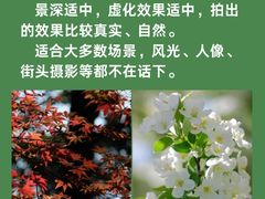 -CGWANG王氏教育(上海校区)