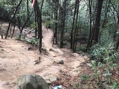 -灵岩山风景区