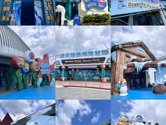 -海合安武汉极地海洋公园